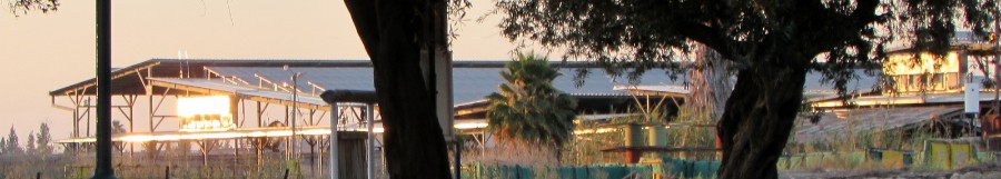 גג סככה מס 2 ברפת, מכוסה כולו בסוללות סולאריות. אור שמש הערבית, נפל על המרכזיות האוספות את החשמל. צילם: מיכה תמיר