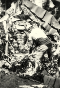 צבי ארד מוציא שתילים לנטיעת בננות 30.6.1971.
התמונה מהאוסף של מיכה תמיר