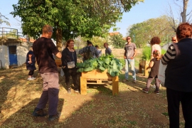 קטיף ירקות בגינה האקולוגית הקהילתית 30.3.21 (12)