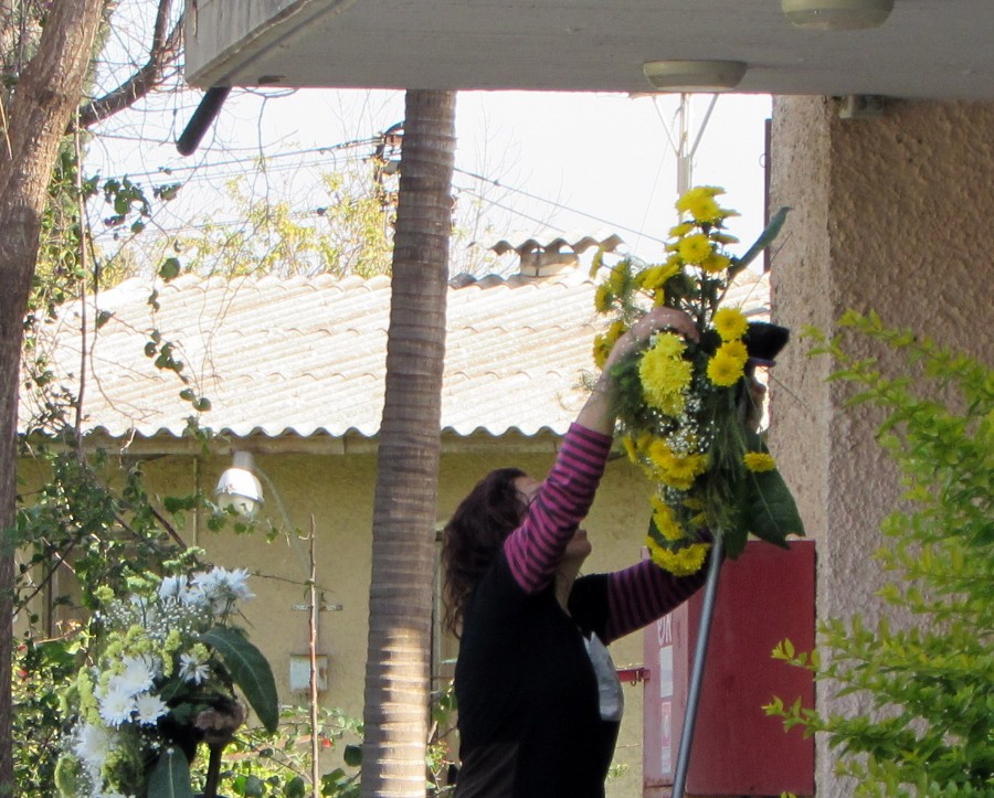 ט'ו בשבט 2019 מיכה תמיר (8)