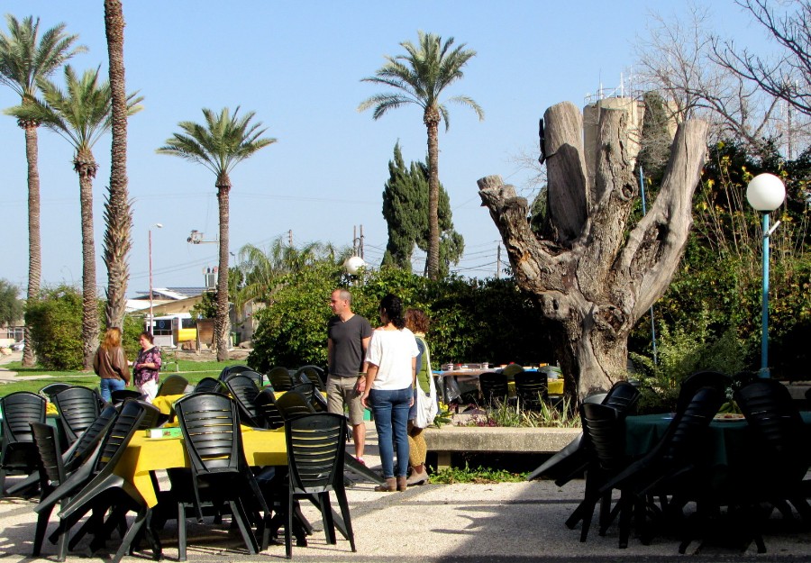 ט'ו בשבט 2019 מיכה תמיר (9)