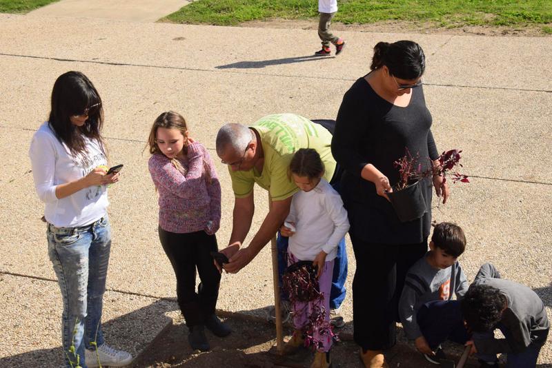 ט'ו בשבט 2018 (77)