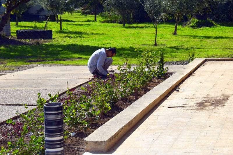 ט'ו בשבט 2018 (82)