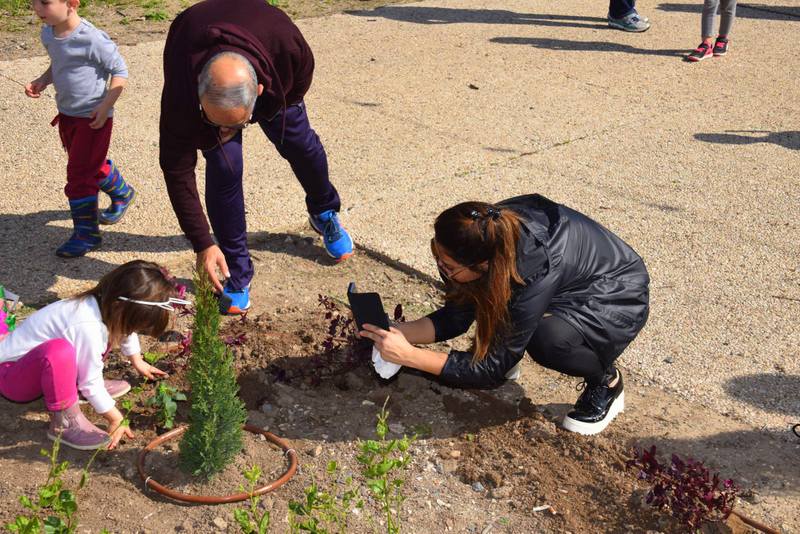 ט'ו בשבט 2018 (91)