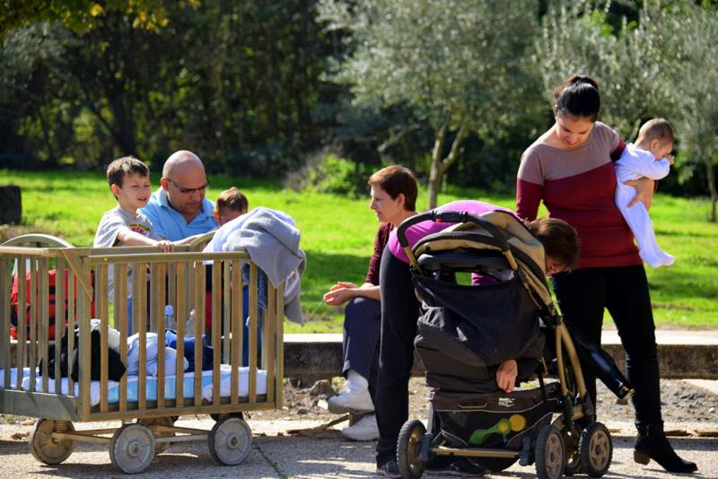 ט'ו בשבט 2018