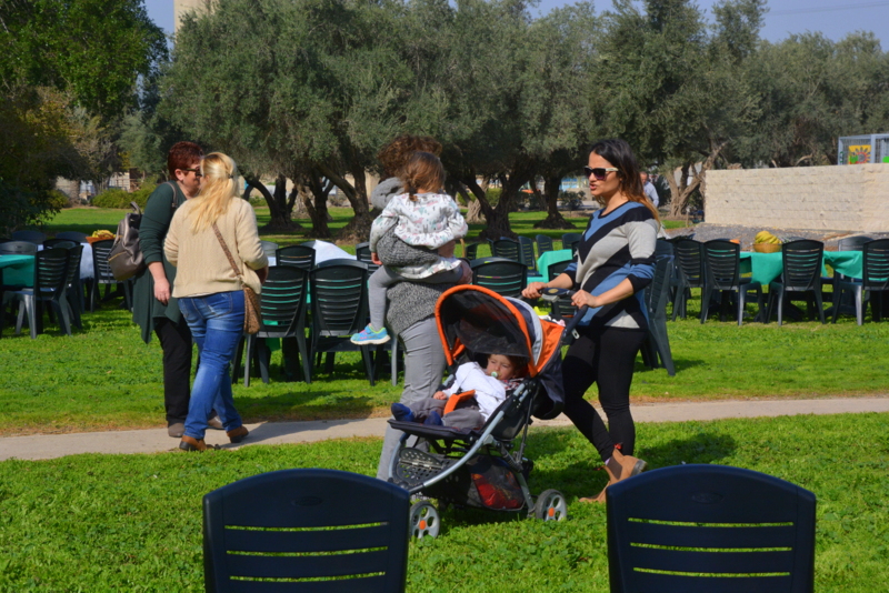 ט'ו בשבט 2017 (4)