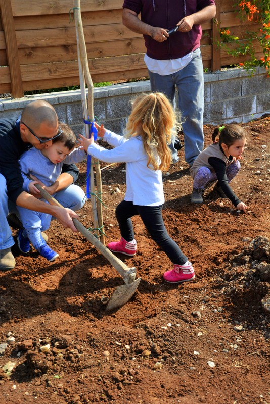 ט'ו בשבט 2017 (37)