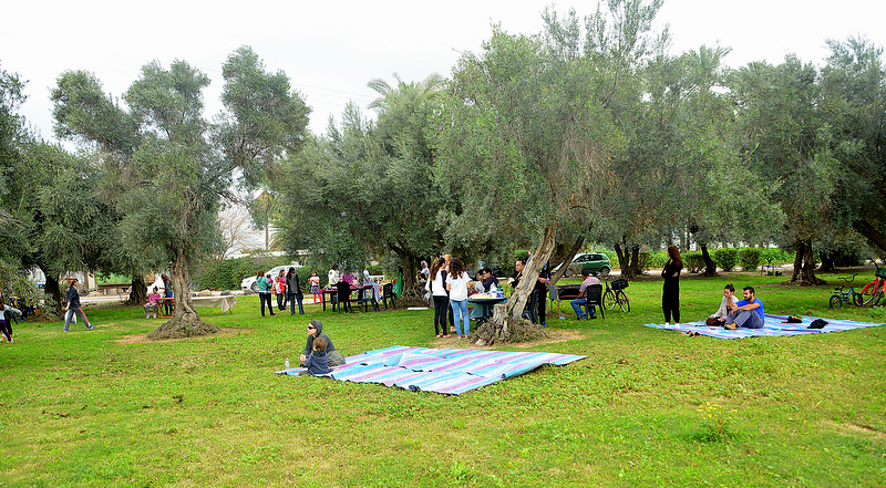 פורים 2015 הפנינג בשבת (19)