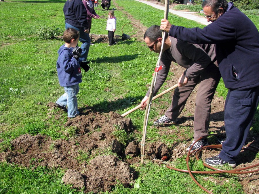 ט'ו בשבט 2010 (28)