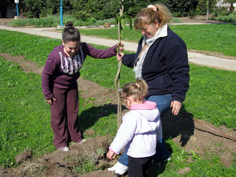 ט'ו בשבט 2010 (30)