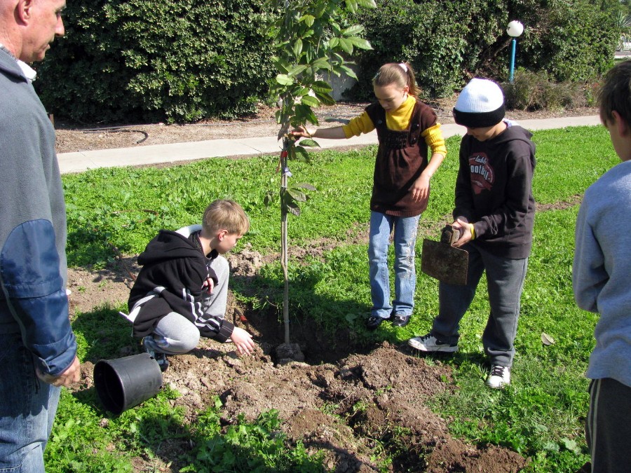 ט'ו בשבט 2010 (32)