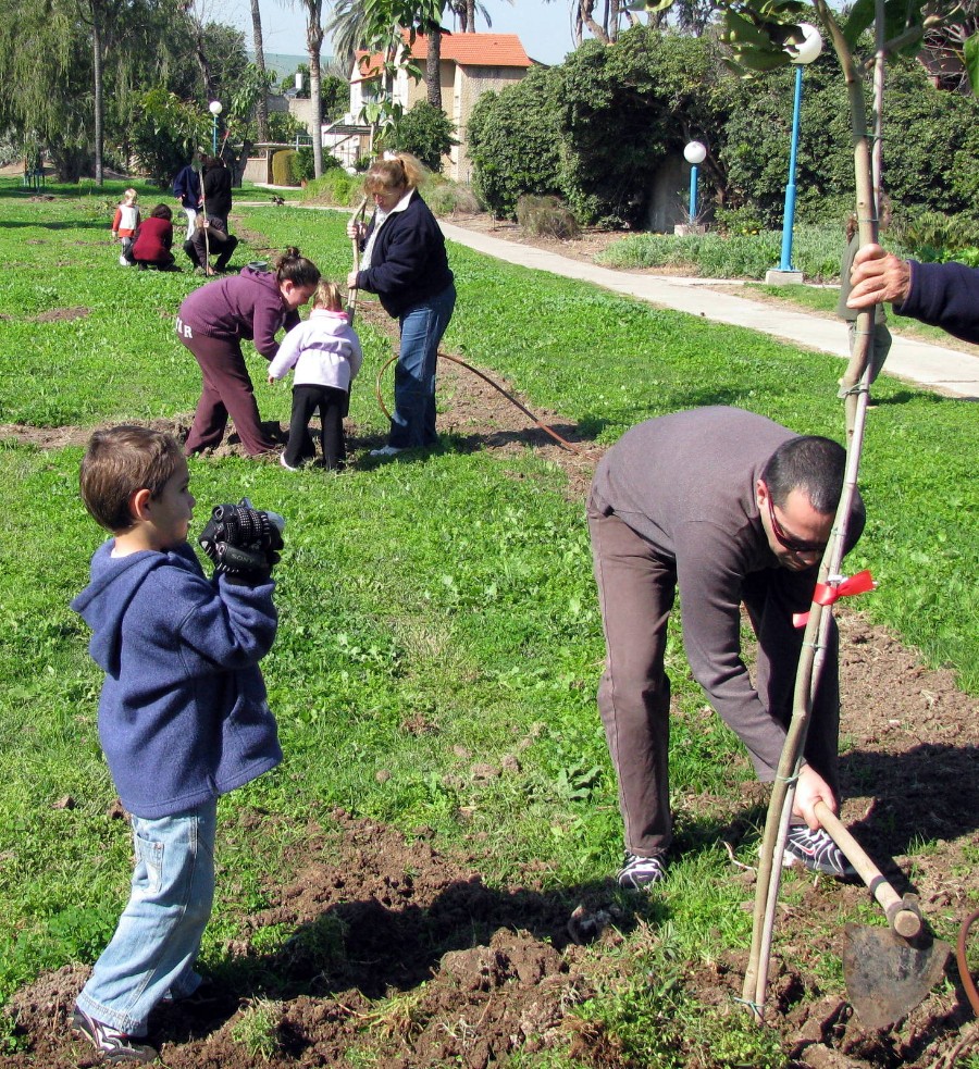 ט'ו בשבט 2010 (29)