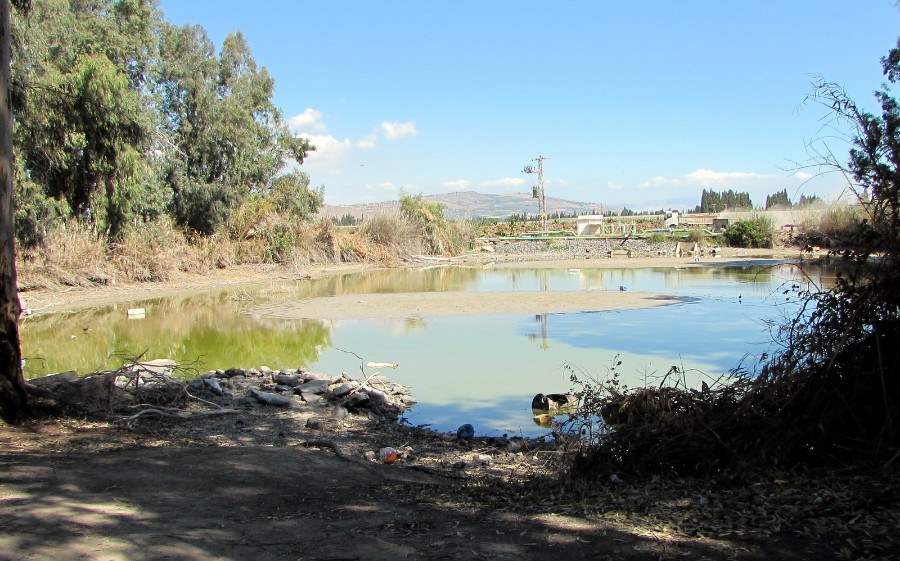 הבריכה הצפונית לאחר שהתייבשה. צילם: מיכה תמיר