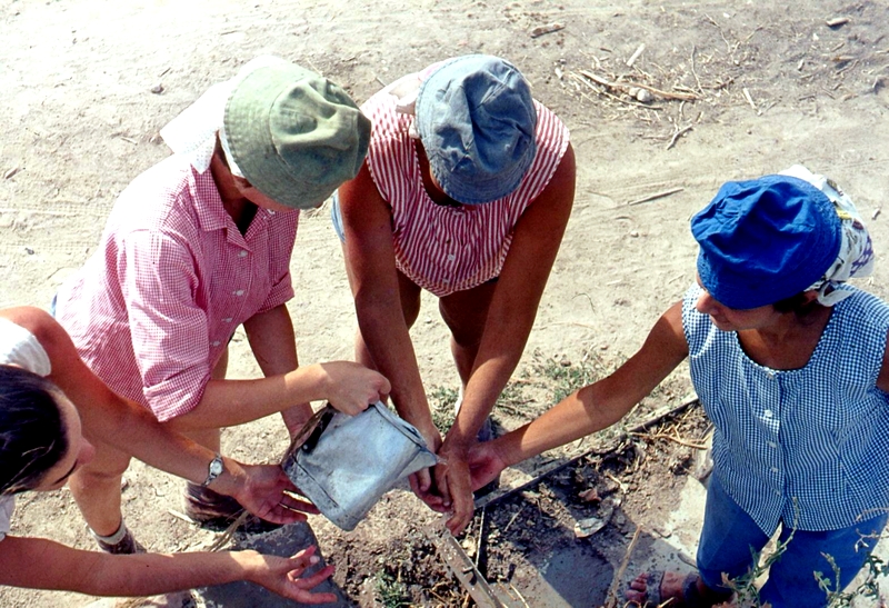 הכרם. התמונה מהארכיון