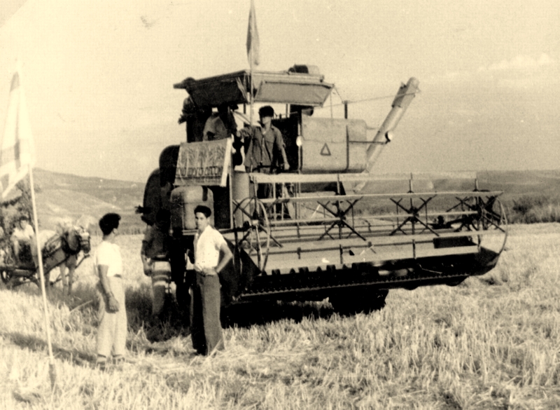 שבועות בשנים הראשונות של אשדות מאוחד. התמונה מהארכיון