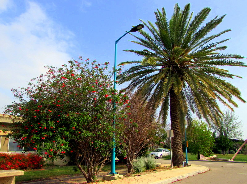 נוף אשדות- צילם: מיכה תמיר