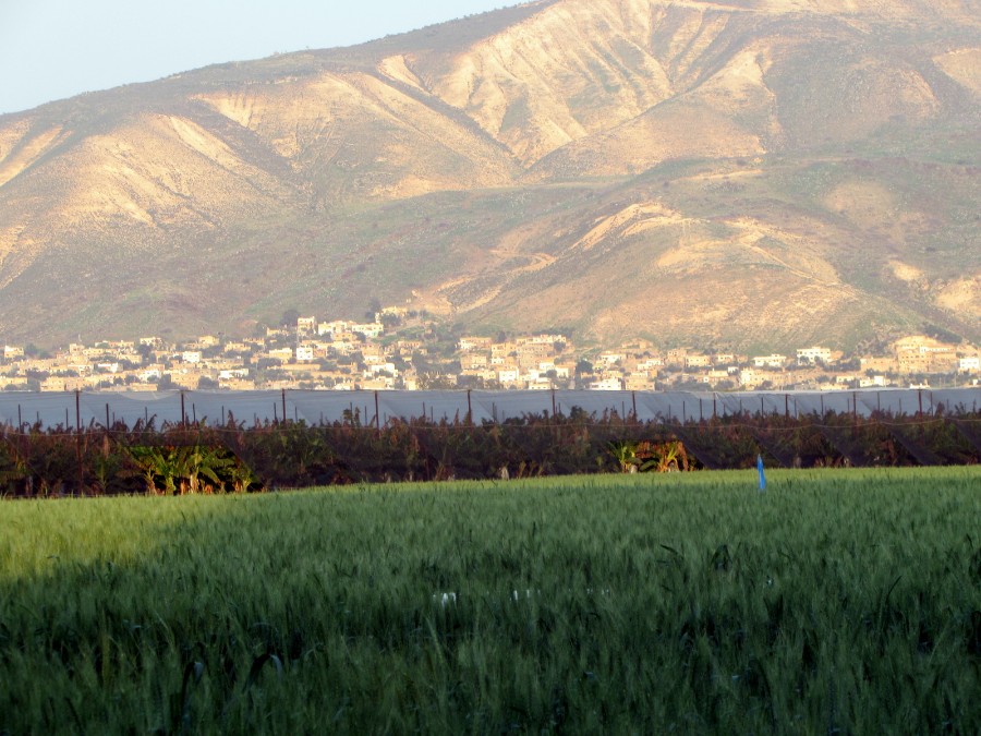 נוף אשדות- צילם: מיכה תמיר