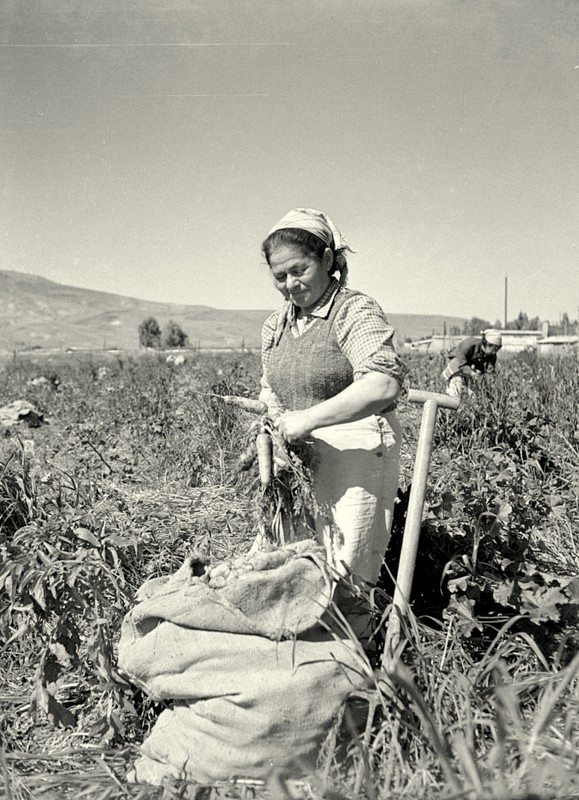 ג'ניה גולדשמיט- צילם: אליהו כהן ז"ל