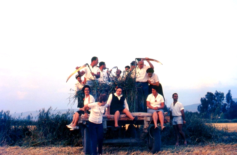 הבאת העומר בצבע- התמונה מהארכיון