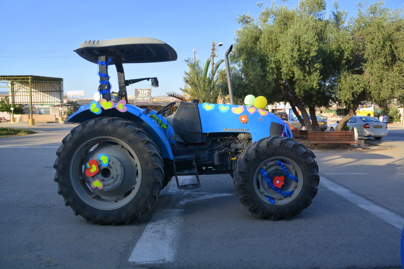 שבועות 2017 עמית וייסברג (7)