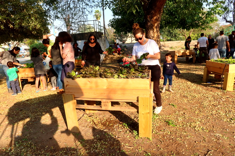 קטיף ירקות בגינה האקולוגית הקהילתית 30.3.21 (18)