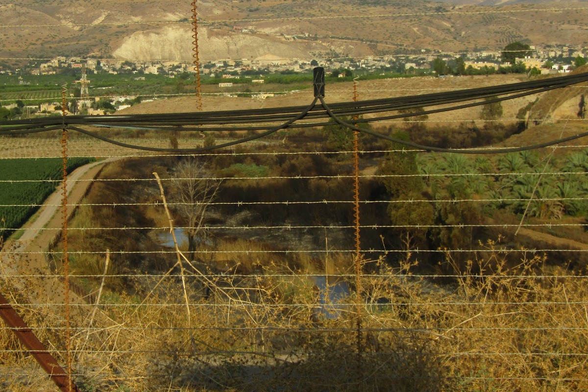 בימין תמרים ירדנים בשמאל תירס אשדותי בתווך הערוץ