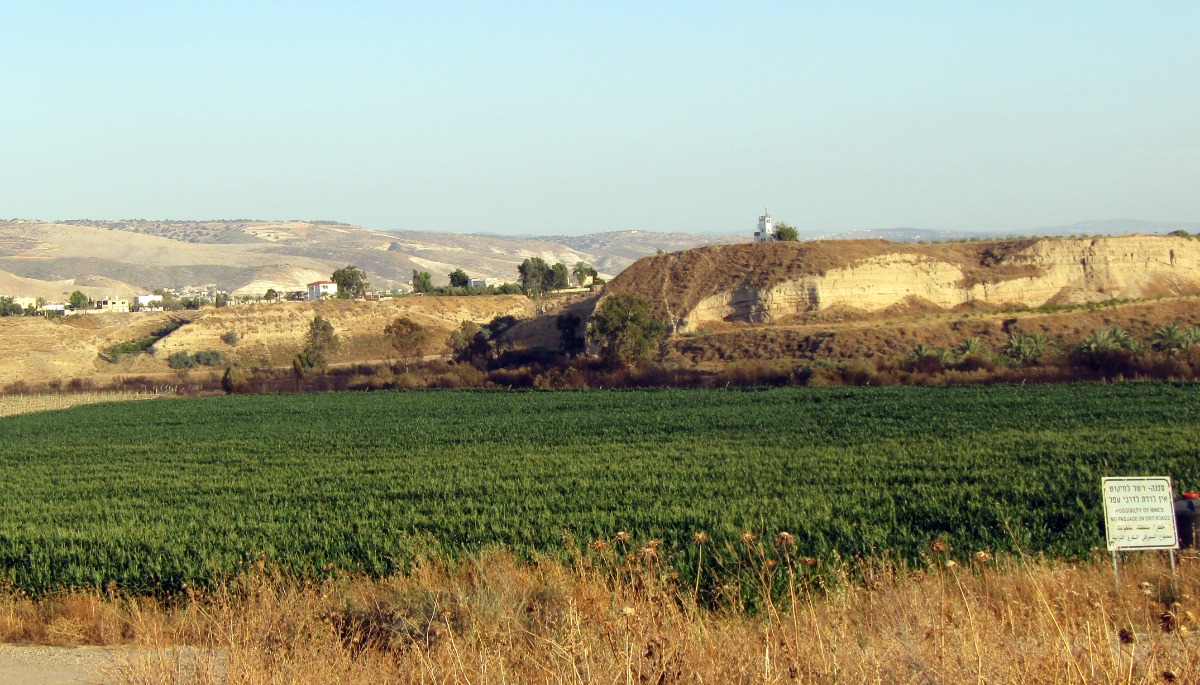 התירס הערוץ ובקורה