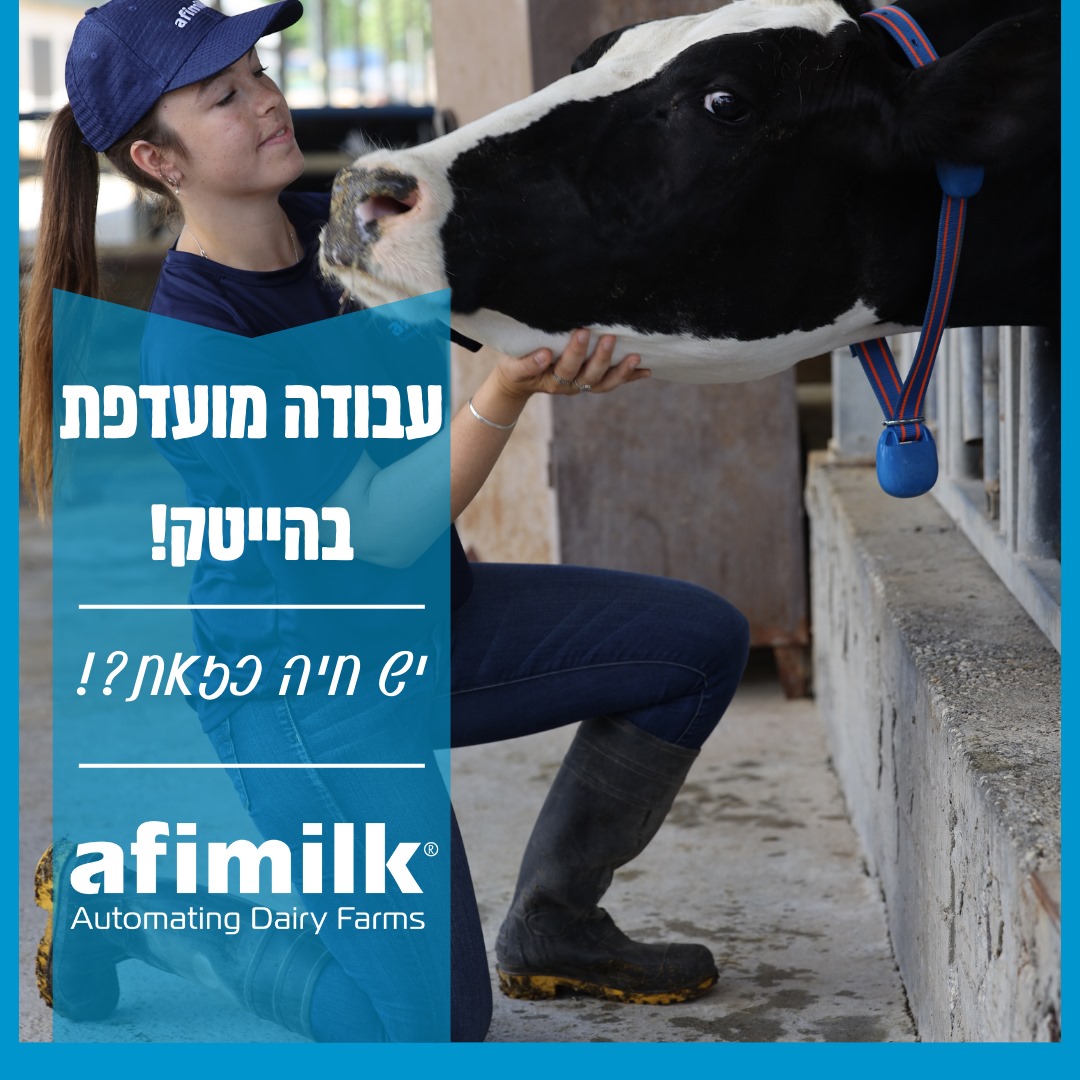 עבודה מועדפת באפימילק עבודה מועדפת באפימילק