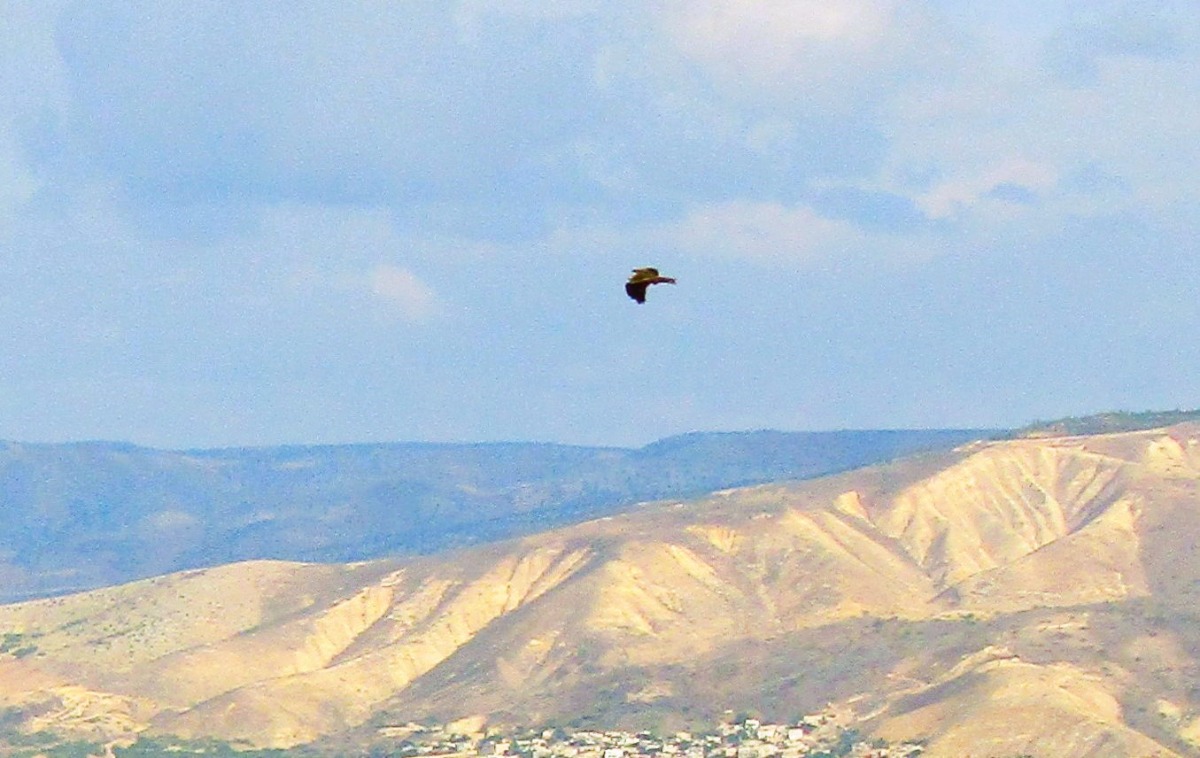 נוף אשדות- צילם מיכה תמיר