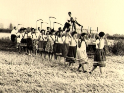 פסח- טקס הבאת העומר 1956- הצילום באדיבות הארכיון