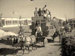 שבועות עבר והווה- ביכורים באשדות יעקב הצעירה. "התקיימו תהלוכות גדולות של כל הציבור, ברגל ועל עגלות". צילם: אליהו כהן ז"ל